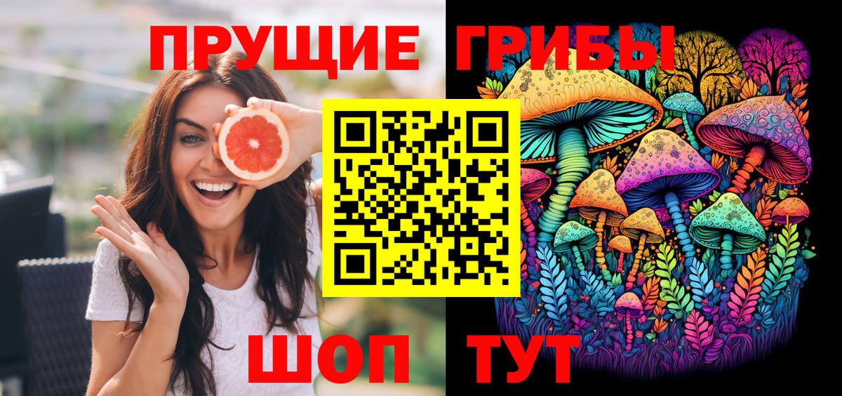 Ангарск  Галлюциногенные грибы Psilocybine cubensis  Вход с VPN 
